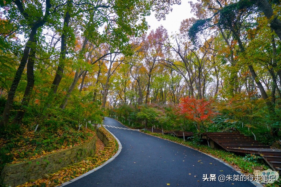 一入秋就美到惊艳的我国著名的四大赏枫胜地，看看你打卡过哪里