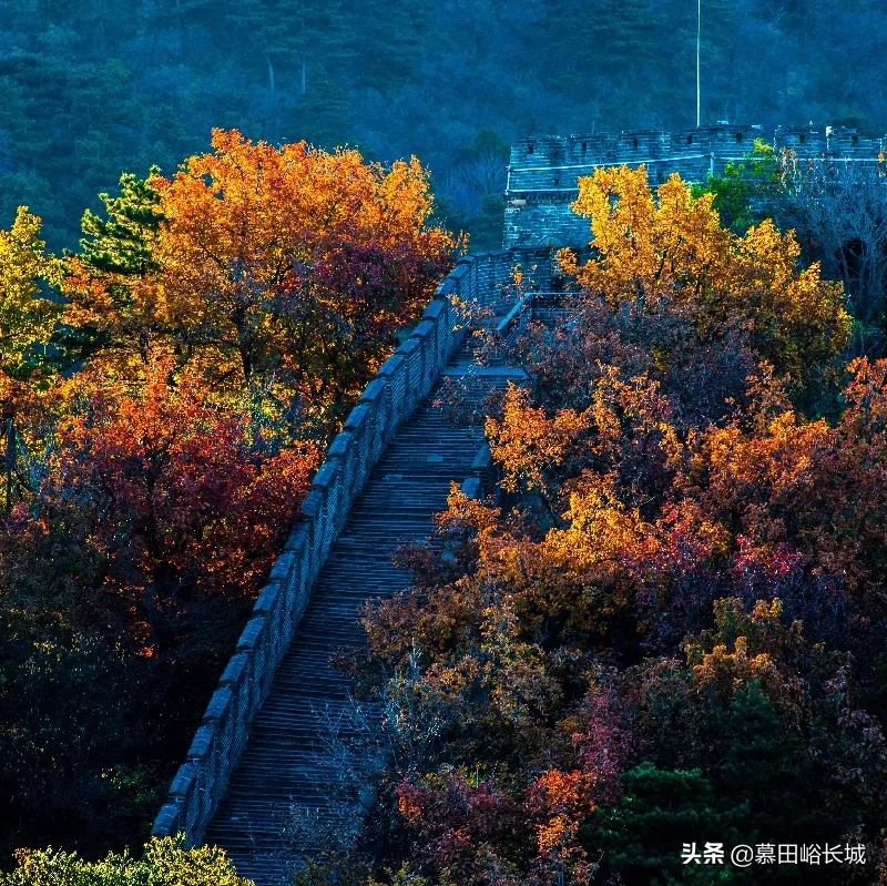 金秋时节，何不来慕田峪看海？