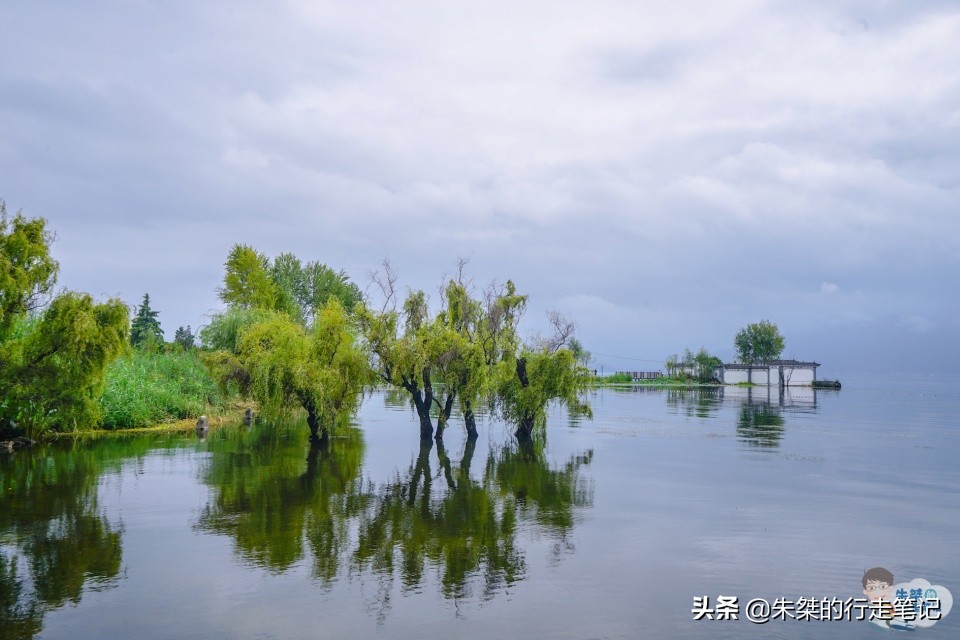 抓住秋天最后的尾巴，去“彩云之南”看一看它的秋日有什么不一样