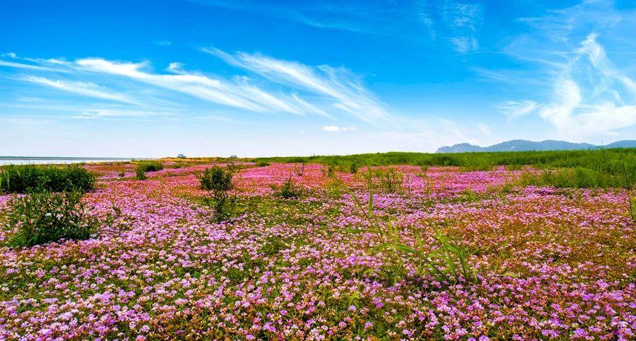 最适合11月旅游的出发地，这12个地方，美到你不想回家