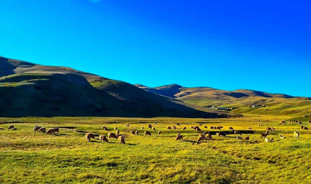 周迅刘雯新综艺取景云南，这个宝藏旅行地美到犯规，一见就爱上