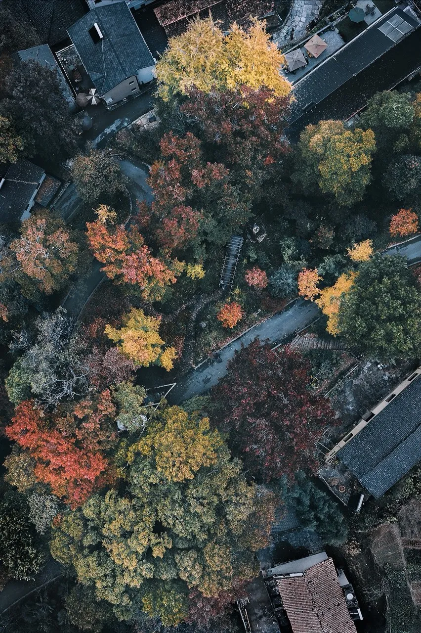 秋色绝美的10个古镇，累了就去小住几日