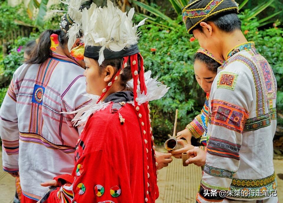 抓住秋天最后的尾巴，去“彩云之南”看一看它的秋日有什么不一样