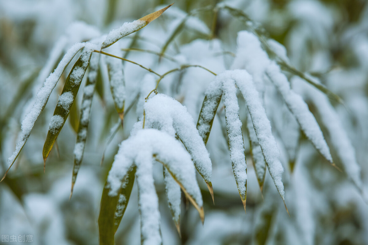 高手写雪，不去渲染下雪的热闹，他们的雪景诗词，1句顶1万句