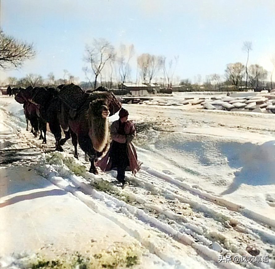 北京旧影：1938年12月，大雪之后的广安门