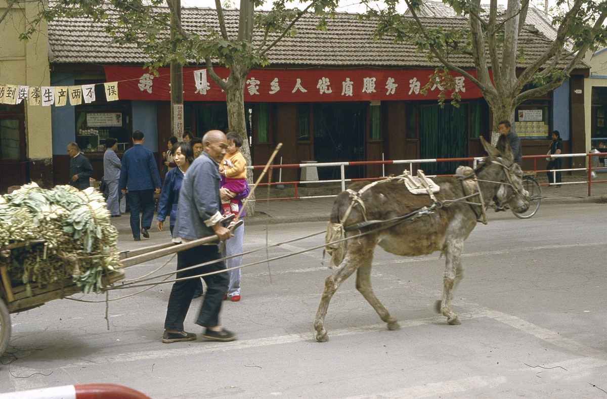 老照片：1984年的河南洛阳，朴实而幸福的生活