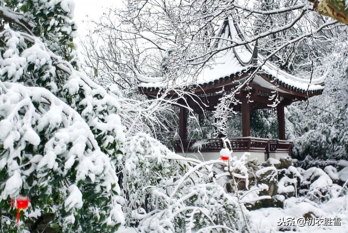 赏读李商隐雪松三首：桃李盛时虽寂寞，雪霜多后始青葱