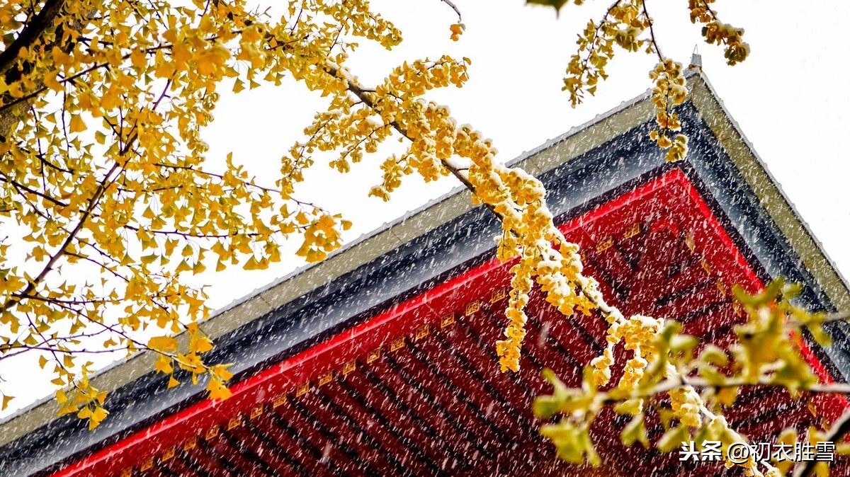 纳兰性德与曹雪芹的雪诗词：六花斜扑疏帘，梅魂竹梦已三更