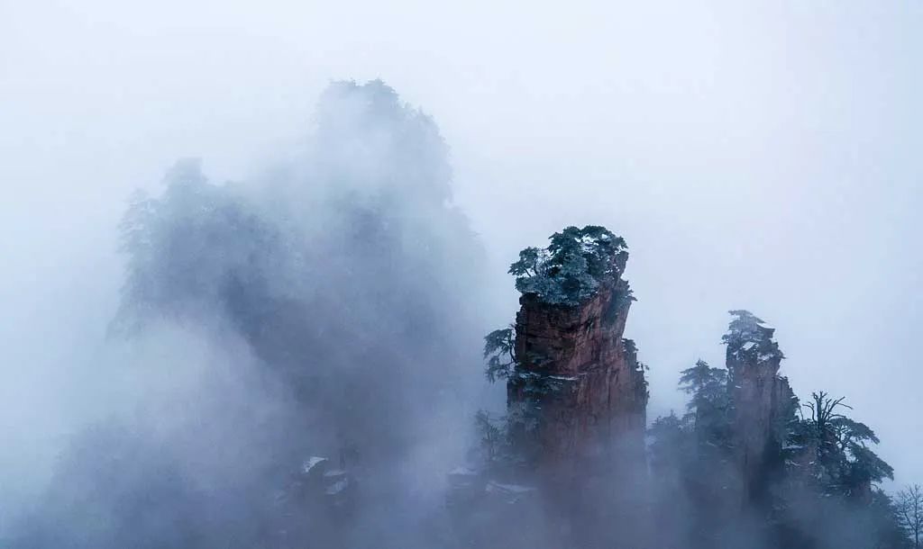 冬日第一场雾凇已到，完美冬天的打开方式，真正的冰雪王国