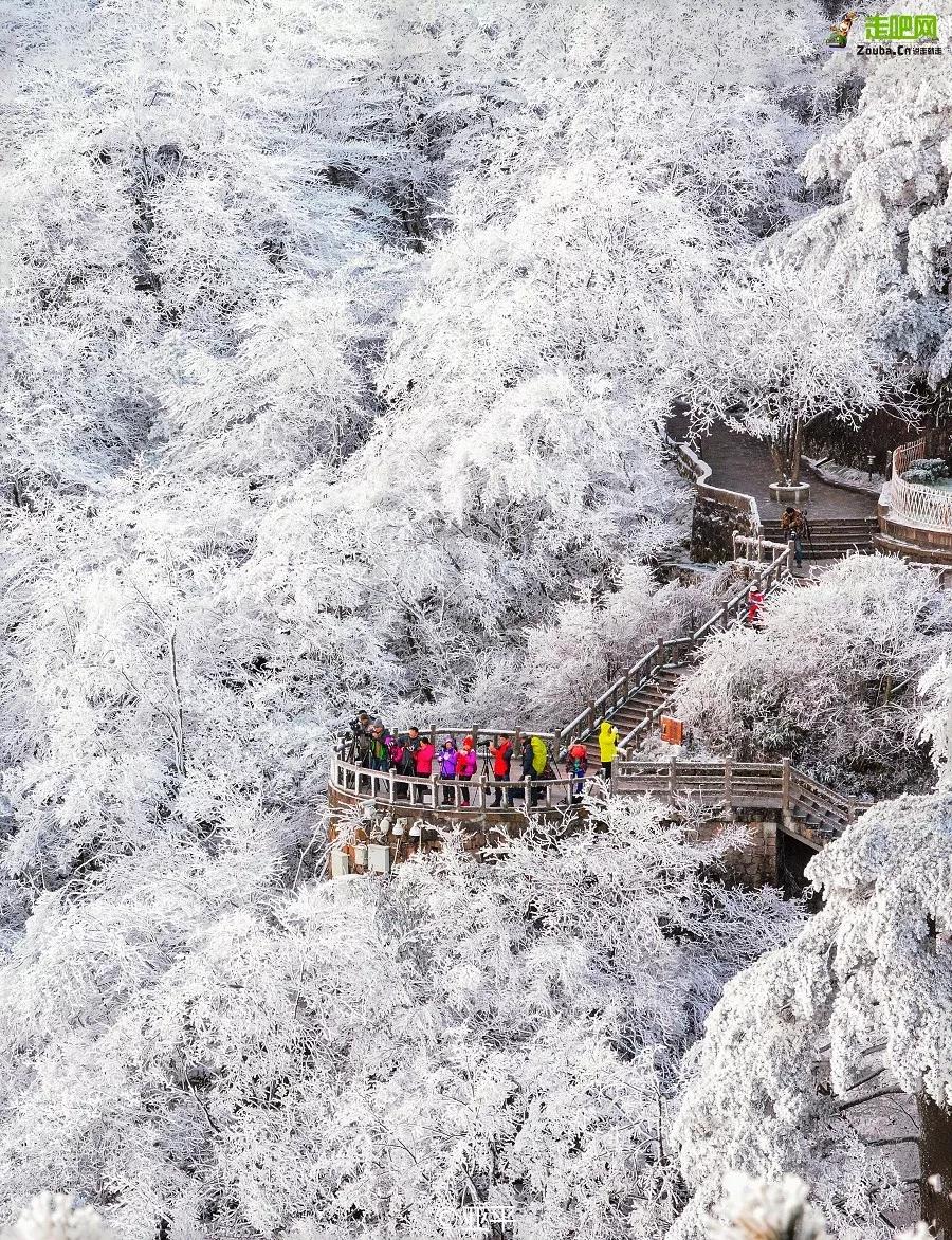 1月最佳旅行地推荐，真正最值得去的景点，人少景美千万别错过