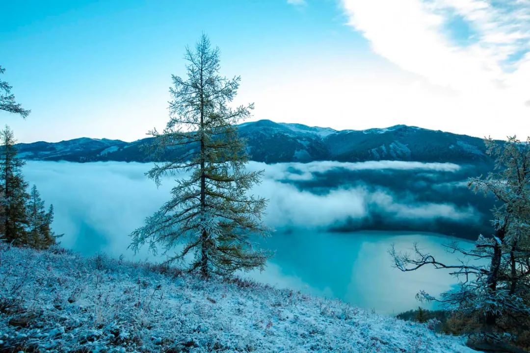 冬日第一场雾凇已到，完美冬天的打开方式，真正的冰雪王国