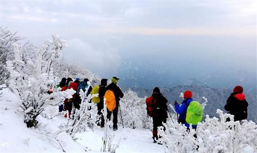 乘坐绿皮火车去秦岭看雪，穿越龙脉打卡陕西林海雪原，只需要3元