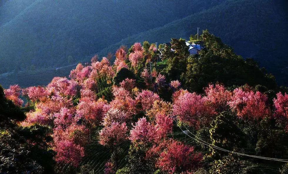 适合两个人的旅行清单，再忙也要一起去