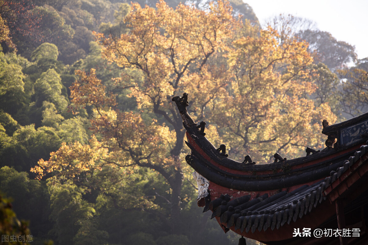 纳兰词读，这首废寺里的斗鸡人，可与红楼梦中的龙钟僧有一比