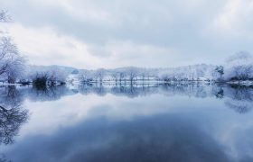 为数不多的几首钓雪诗，描绘了冬日雪景之中的别样风华