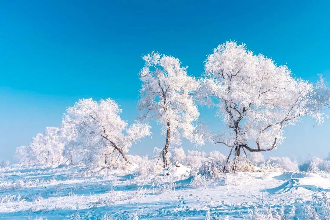 冬日第一场雾凇已到，完美冬天的打开方式，真正的冰雪王国