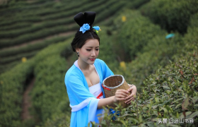 由「荼」话「茶」：品一壶禅茶，在淡然的烟火人间修一颗平和之心