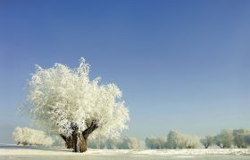 大雪节气大雪诗，月是小春春未生，节名大雪雪何曾？