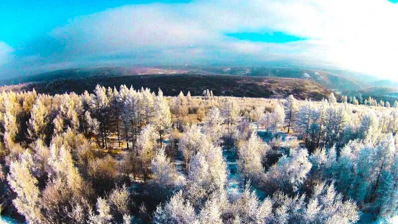 冬日第一场雾凇已到，完美冬天的打开方式，真正的冰雪王国