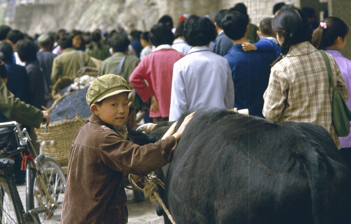 老照片：1984年的河南洛阳，朴实而幸福的生活