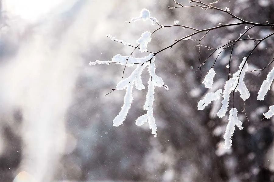 国内6个最佳赏雪地，远离喧嚣美成天堂，雪落成诗