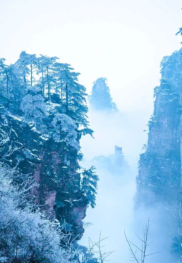 冬日第一场雾凇已到，完美冬天的打开方式，真正的冰雪王国