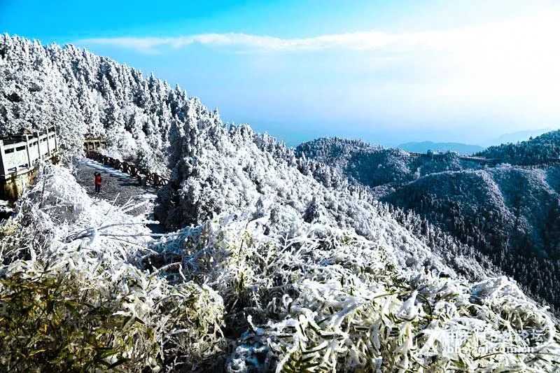 冬日第一场雾凇已到，完美冬天的打开方式，真正的冰雪王国