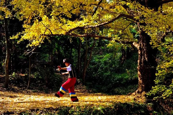 国内这些百年银杏古村，第一个就让人惊艳，私藏着深秋的绝世美景