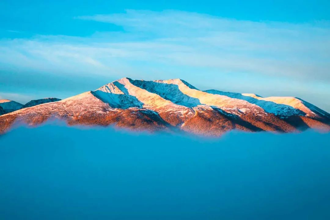 冬日第一场雾凇已到，完美冬天的打开方式，真正的冰雪王国