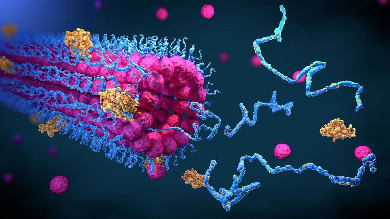 人工智能在生物学上的突破，比肩DNA的发现，或彻底改变医学