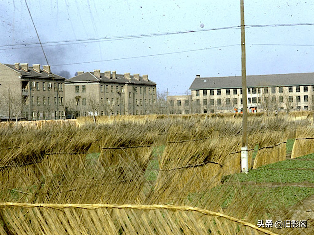 天津生活1972年，美国学者镜头下的尖山居民区