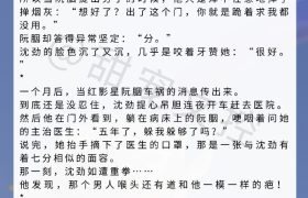 安利！近期人气文，《乘风破浪的小寡妇》完全是被书名耽误的好文