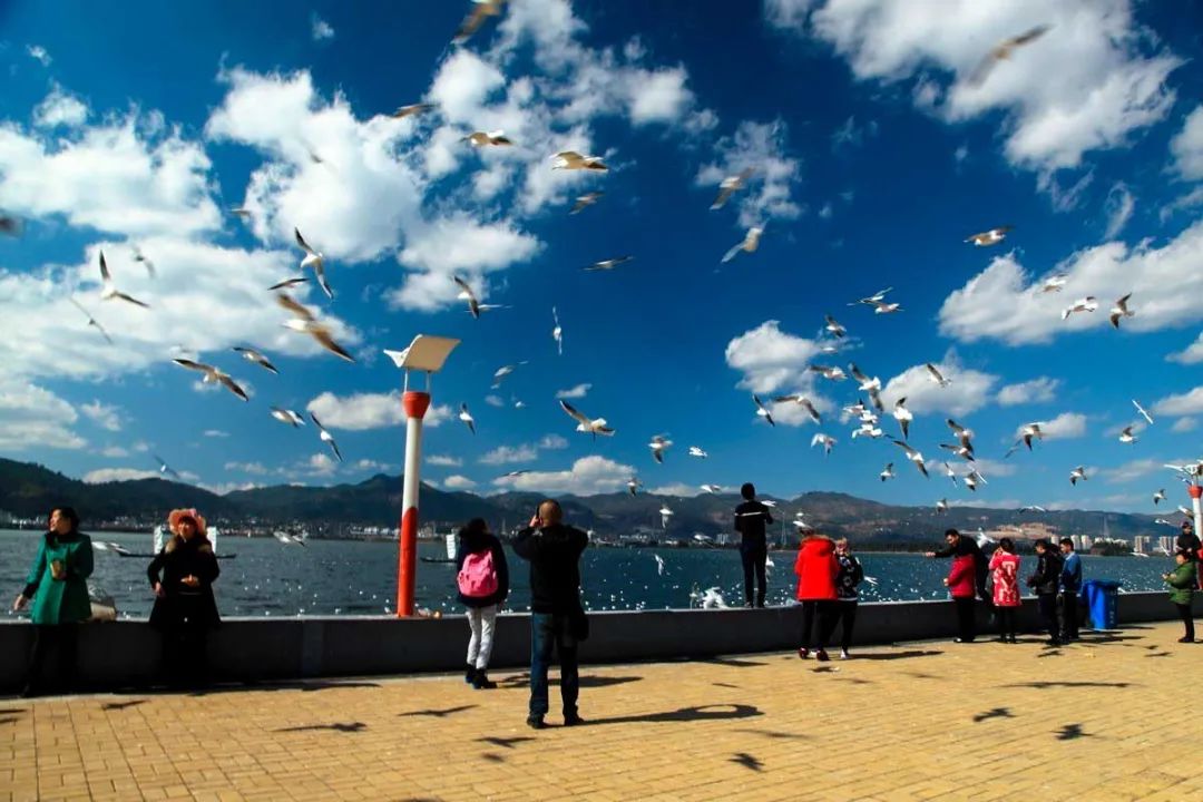 冬日避寒指南，看海赏花逛雨林，总有一款是你的最爱