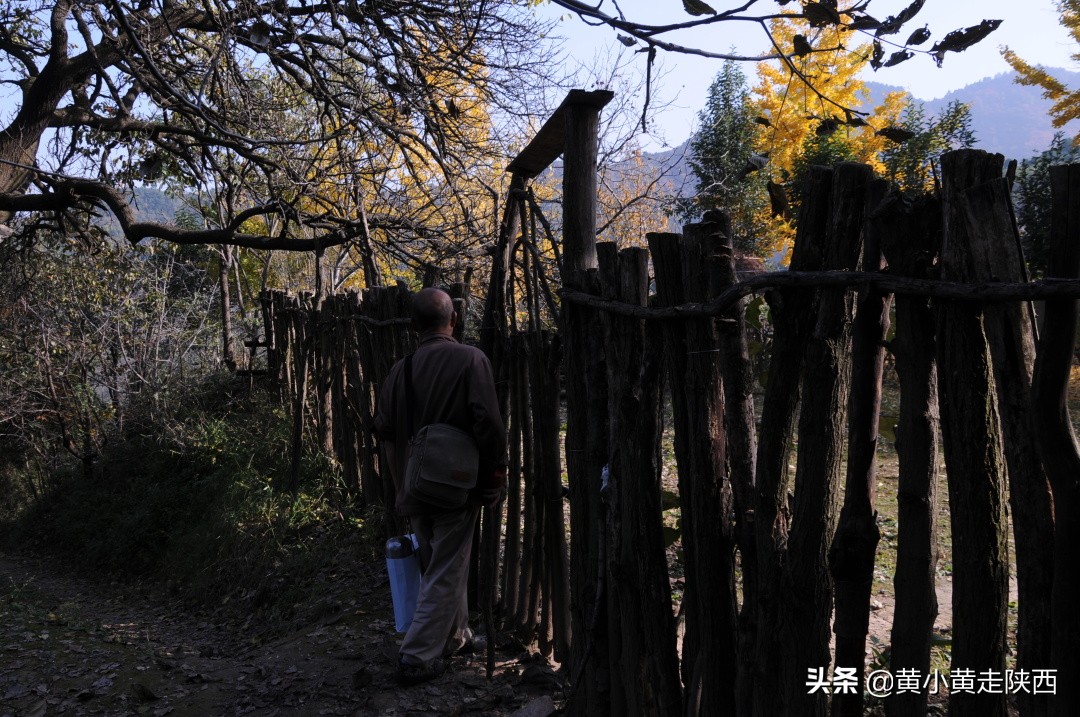 秦岭穿越走错路，意外发现不为人知的风景，这样的秦岭你见过吗