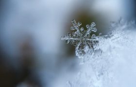 纳兰性德两首咏雪词，一首清丽，一首苍茫，实际苍茫的更耐读