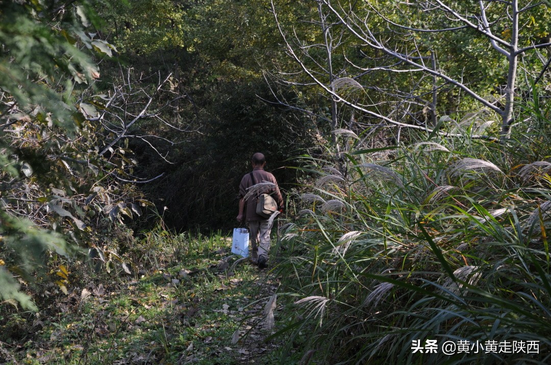 秦岭穿越走错路，意外发现不为人知的风景，这样的秦岭你见过吗