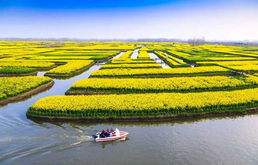 3月最佳旅行地榜单，这十个地方，已然花开成海