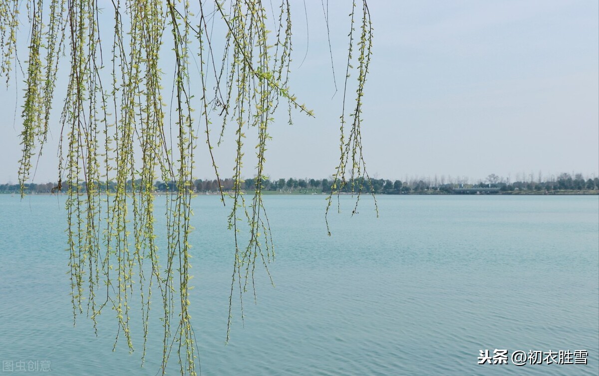 二十四节气之立春正月节，一二三四五六七，万木生芽是今日