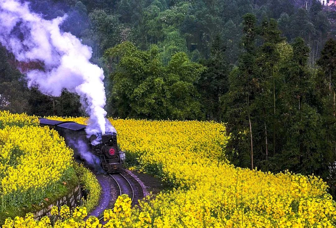 3月最佳旅行地榜单，这十个地方，已然花开成海