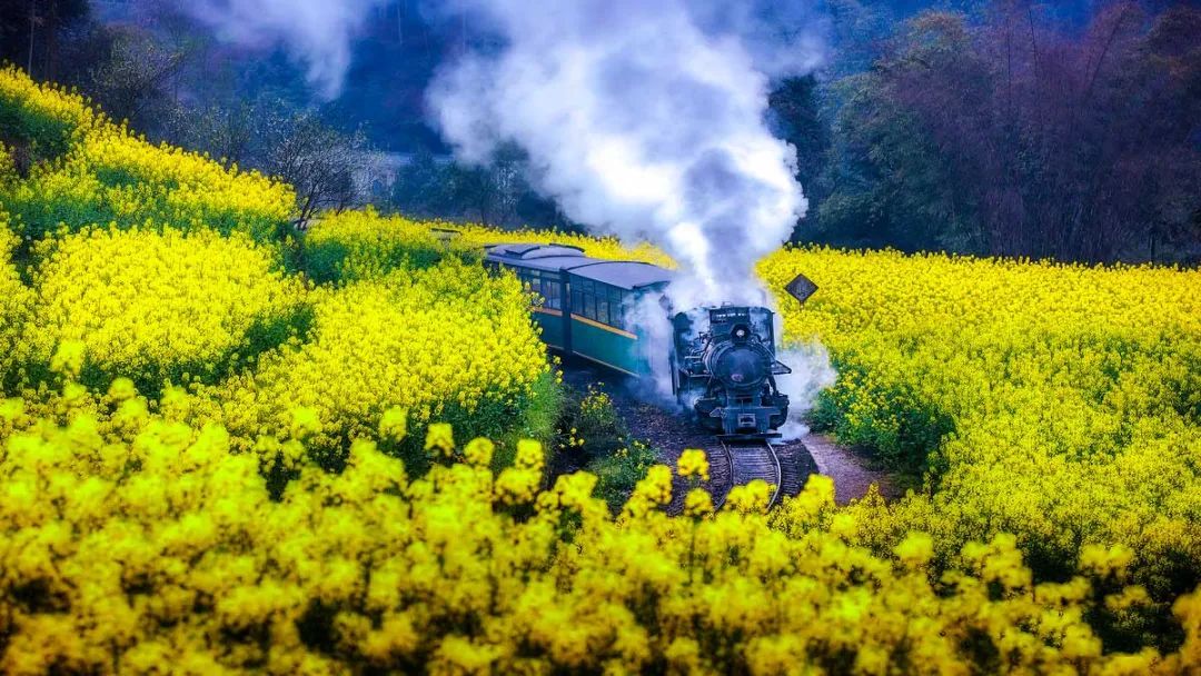 3月最佳旅行地榜单，这十个地方，已然花开成海