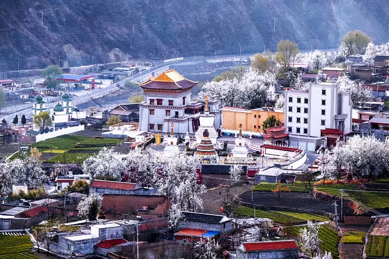 3月最佳旅行地榜单，这十个地方，已然花开成海