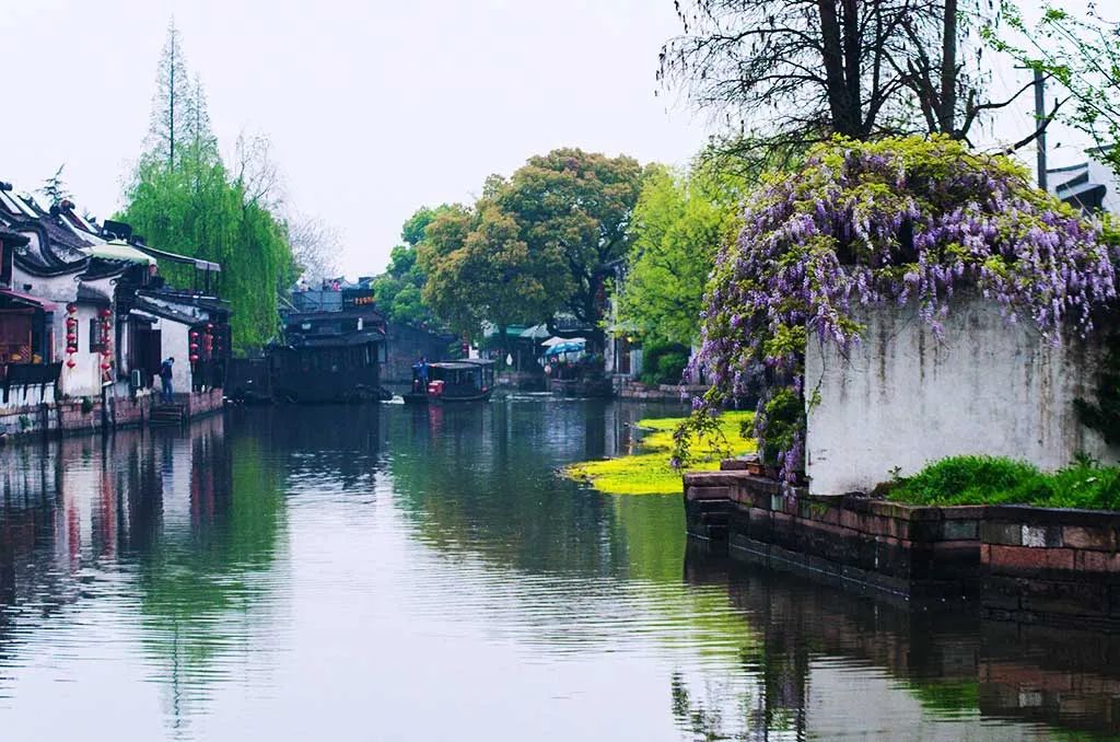 春日的美妙风景，在这12条自驾路线上徐徐展现，沿途与花海并行