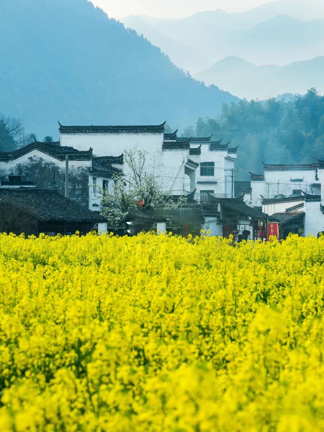 春天最美的8个古镇，适合清明小住三天，享受慢生活