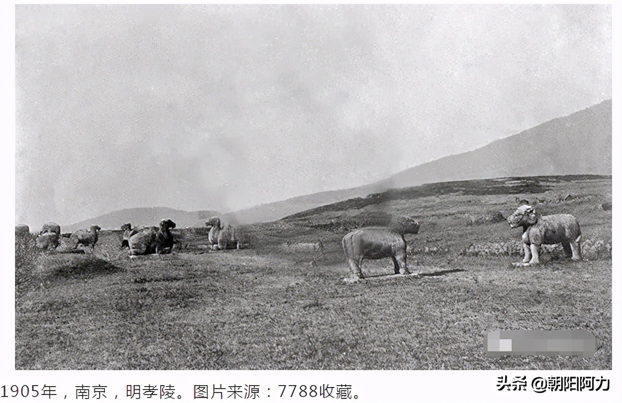 沧桑岁月：南京1899-1949老照片