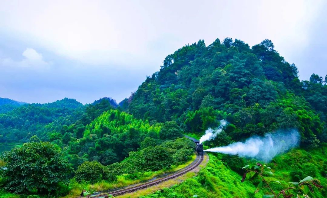 春日的美妙风景，在这12条自驾路线上徐徐展现，沿途与花海并行