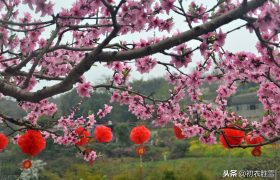 新年新春祝福诗词五首，人心新岁月，春意旧乾坤