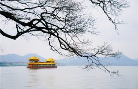 三月杭州行，烟雨迷蒙中寻找西子湖畔的海棠花开，雨西湖更有韵味