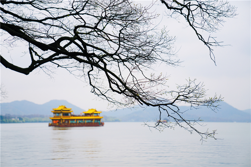 三月杭州行，烟雨迷蒙中寻找西子湖畔的海棠花开，雨西湖更有韵味