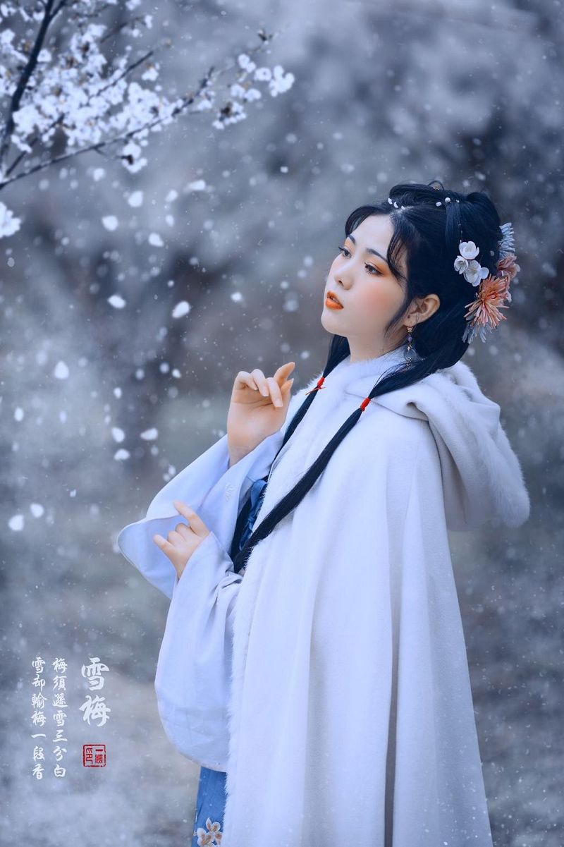 古风系列《雪梅》摄影作品