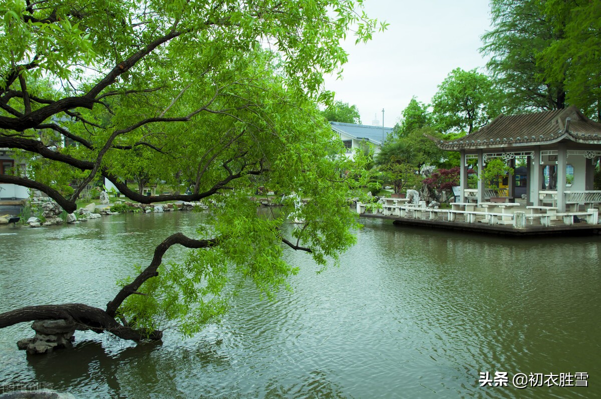 晚春春水诗词7首：休相问，怕想问，相问还添恨，春水满塘生